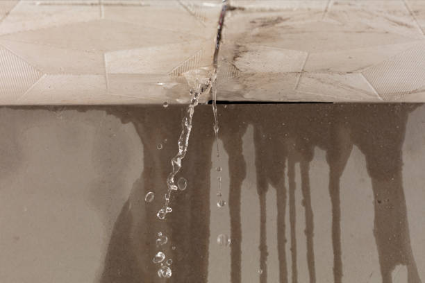 Professional Flood Damage Cleanup technician working in Colome, SD